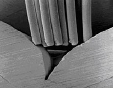 Elektronenmikroskopische Darstellung der feinen Zahngr�bchen undd er dicken Borsten der Zahnb�rste